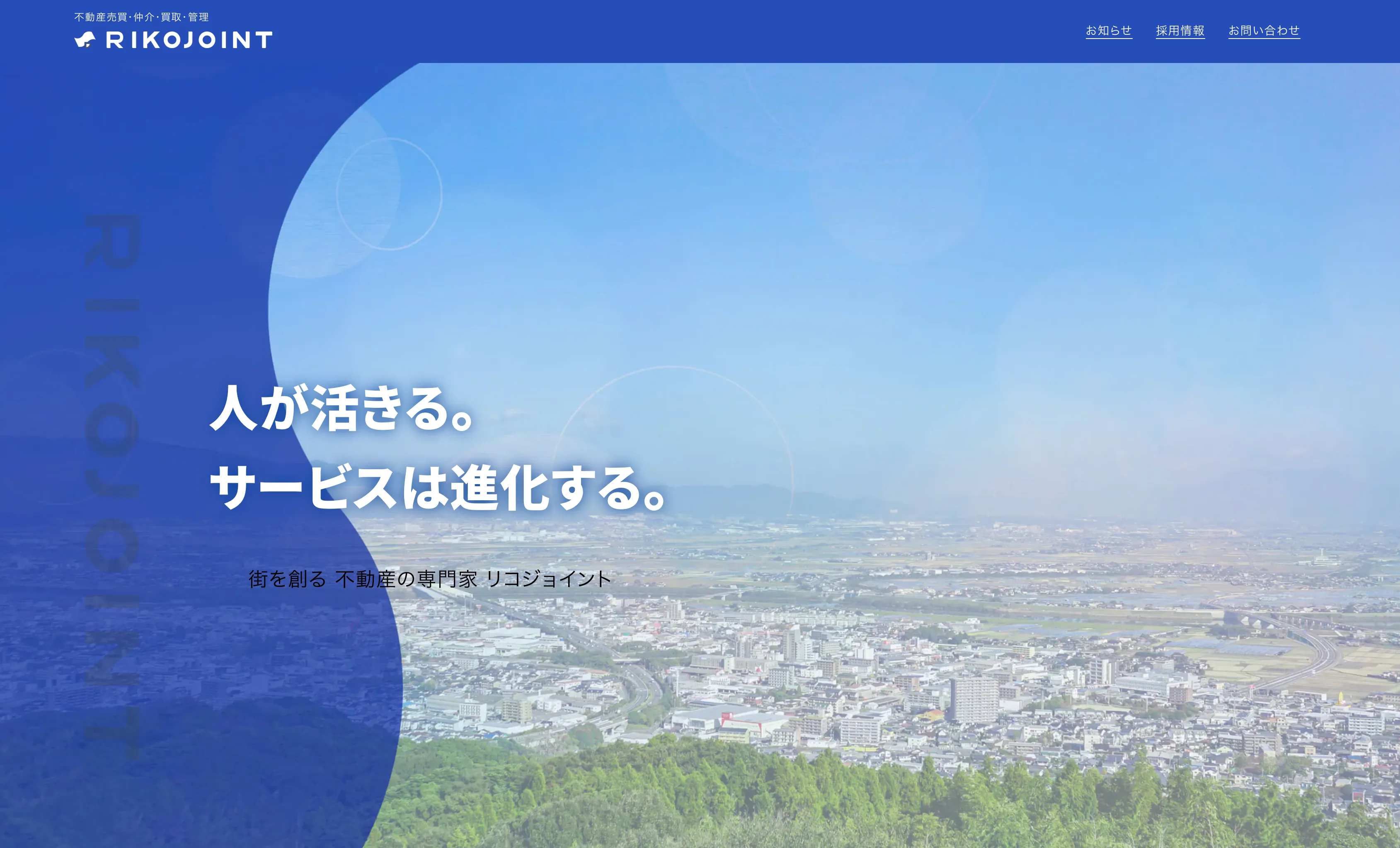 ECサイト制作実績